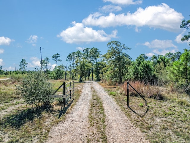 109 Tall Pines Rd, Smithville TX, 78957 land for sale