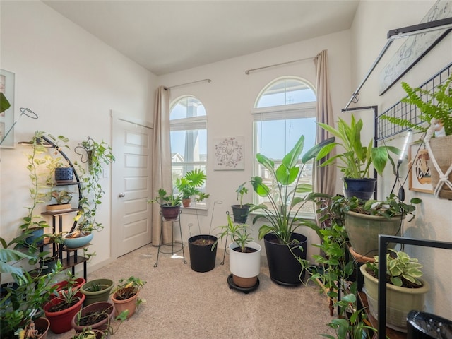 interior space featuring carpet flooring