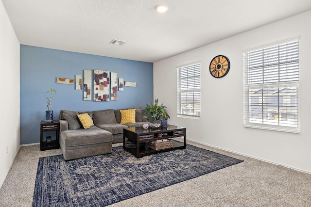 13413 Mussel Run, Elgin, TX 78621 - living room with carpet