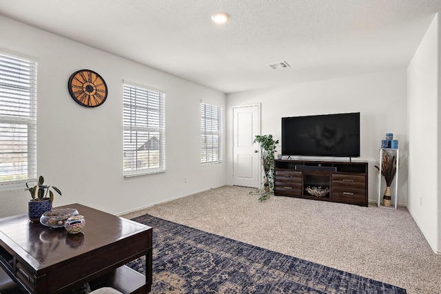 carpeted living room with a textured ceiling