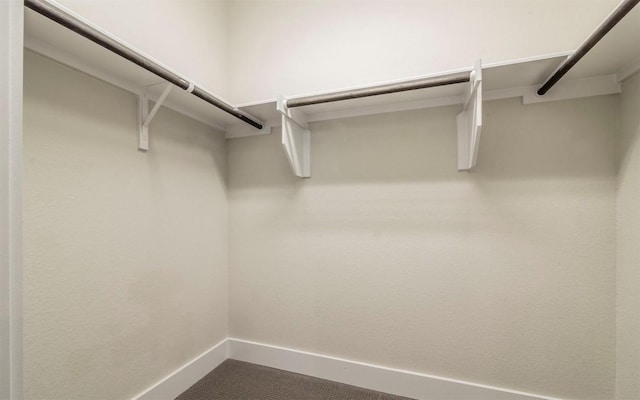 1905 Standing Tall Dr Unit 40, Leander, TX 78641 - view of spacious closet