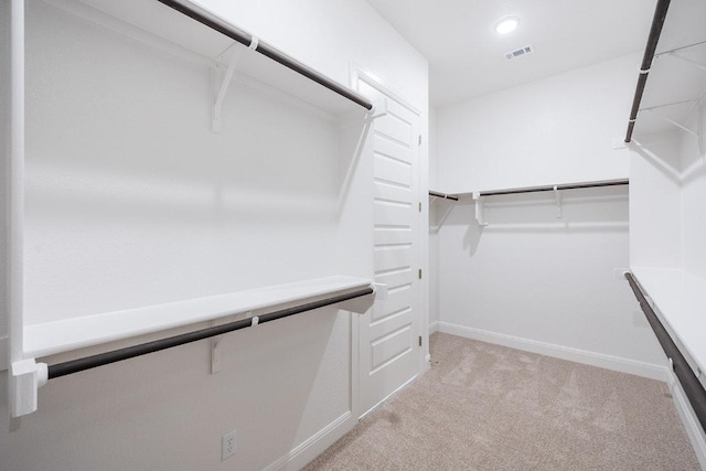 228 Running Fawn, Georgetown, TX 78628 - walk in closet with light colored carpet