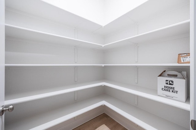 228 Running Fawn, Georgetown, TX 78628 - view of storage area