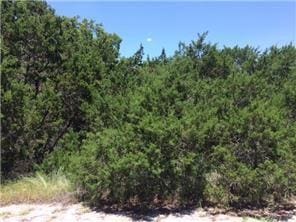 8403 Tawny Cv, Lago Vista TX, 78645 land for sale