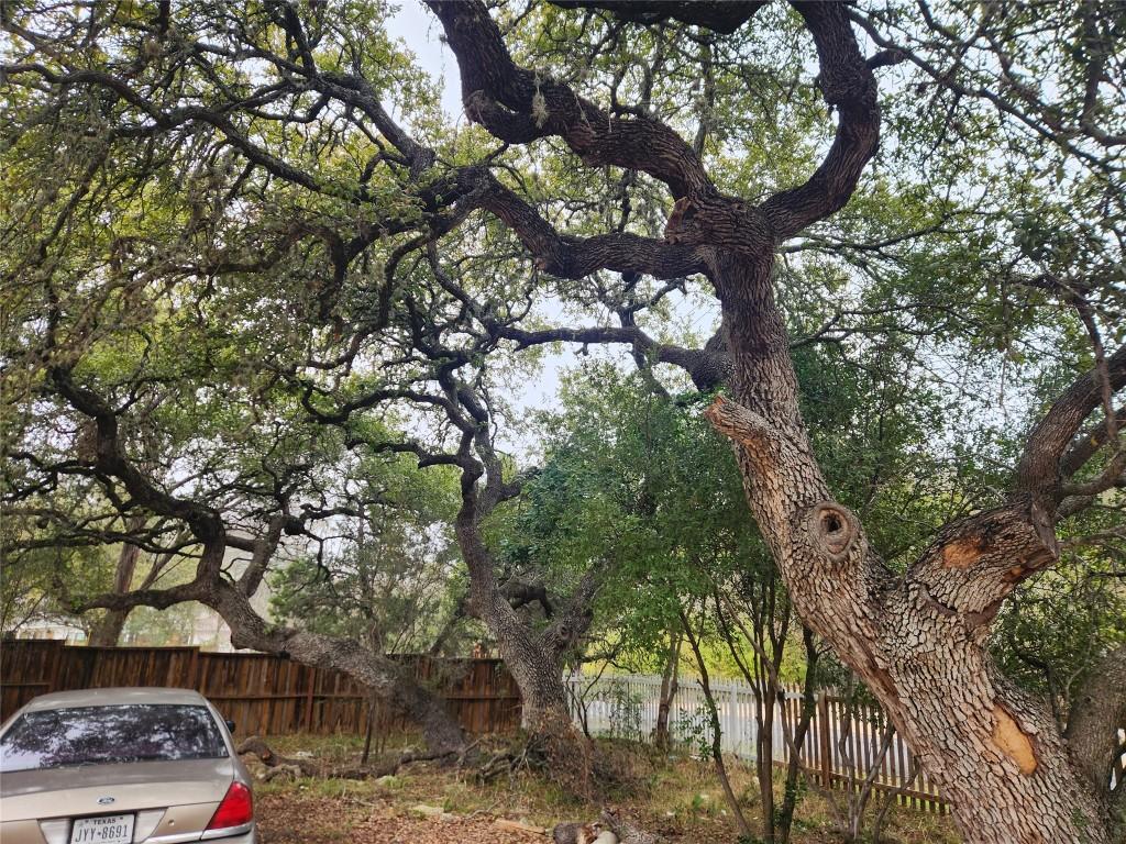 9605 Saugus Ln, Austin, TX 78733 - photo 1