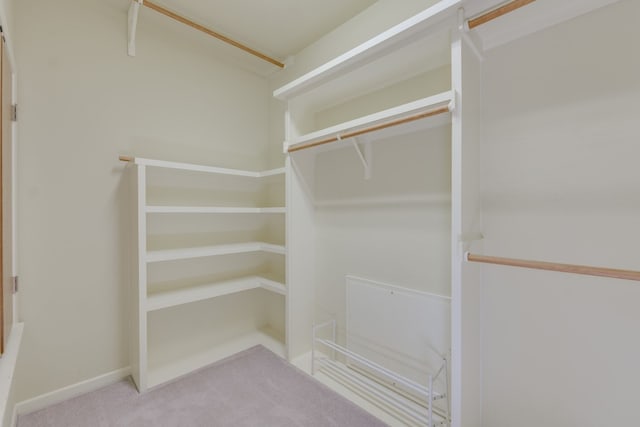 walk in closet featuring carpet floors