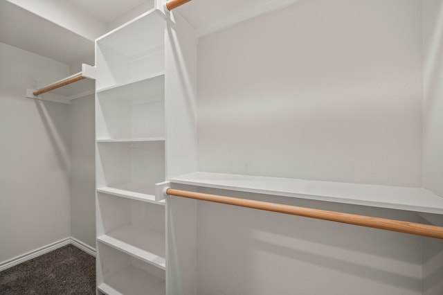 spacious closet featuring carpet floors