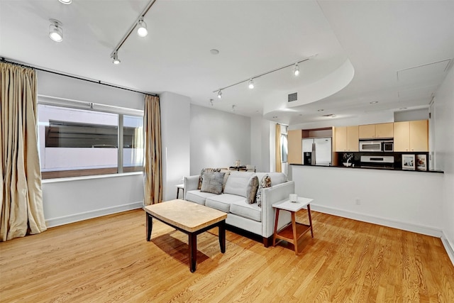 living room with rail lighting and light hardwood / wood-style flooring