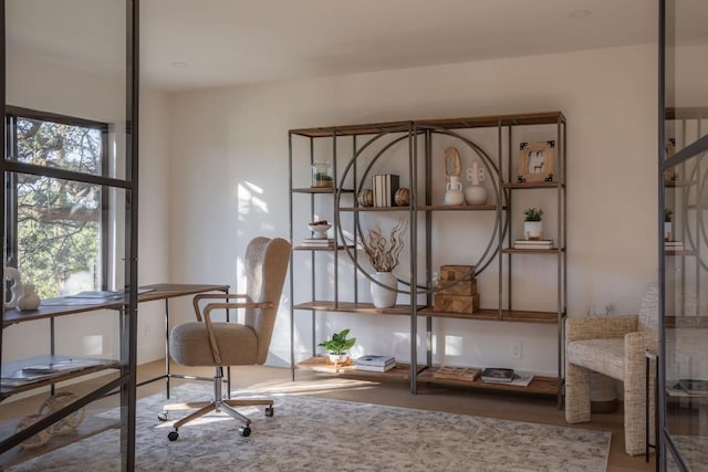 living area featuring wood-type flooring