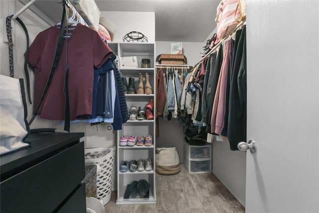 spacious closet with light hardwood / wood-style floors