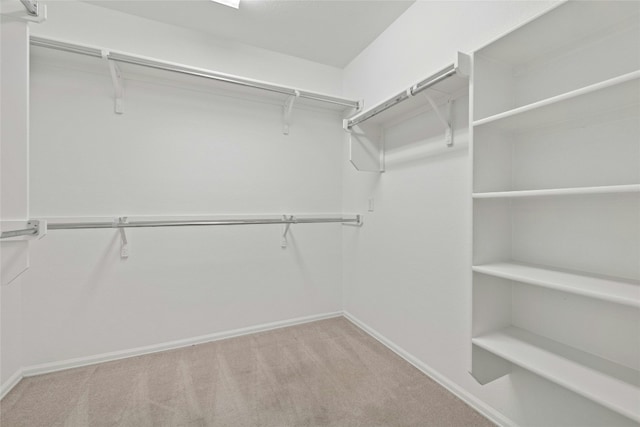 spacious closet featuring light colored carpet