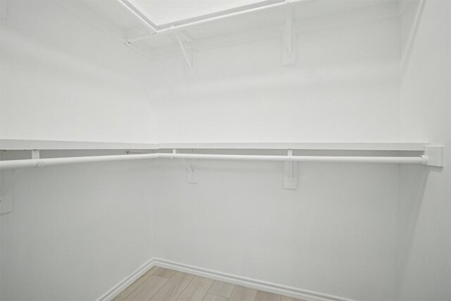 walk in closet featuring light hardwood / wood-style floors