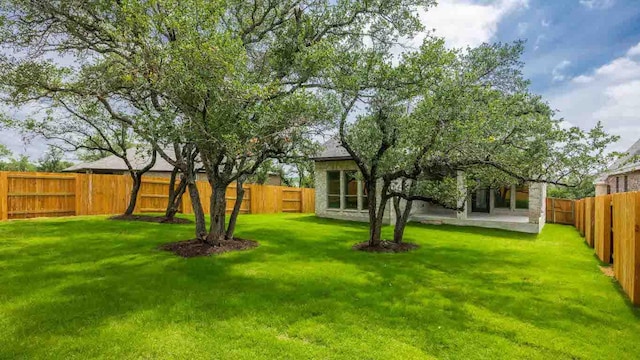 140 Spring Bluff Ln, Georgetown, TX 78628 - view of fenced backyard