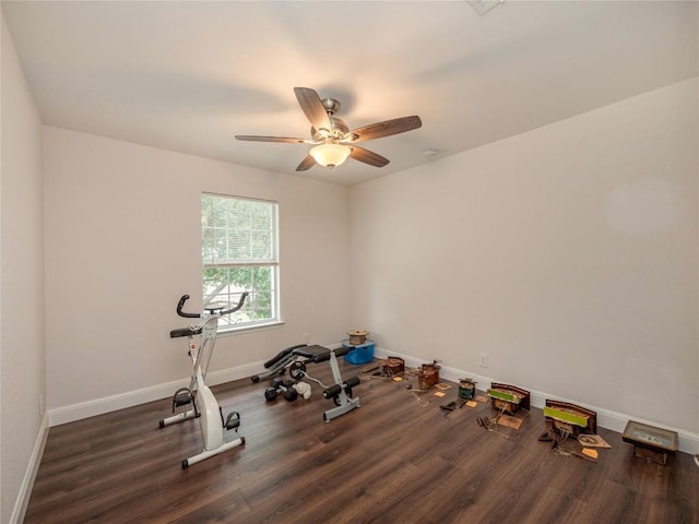 workout room featuring ceiling fan and dark hardwood / wood-style flooring