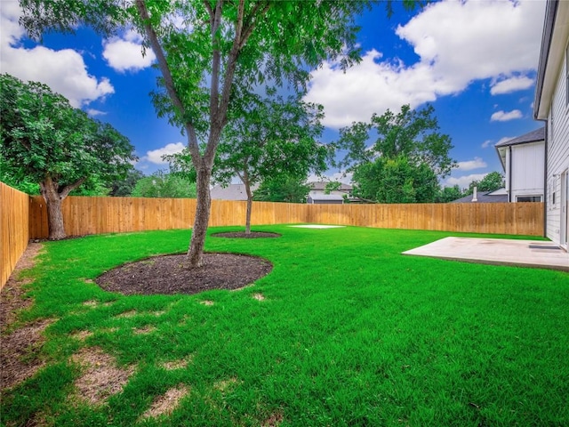 view of yard with a patio