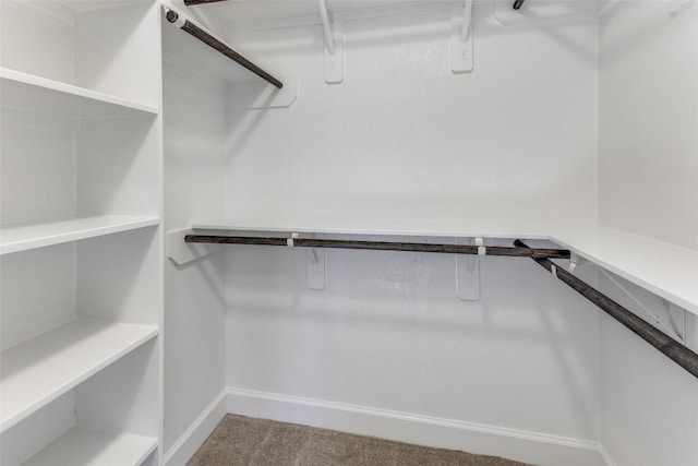 spacious closet with carpet flooring