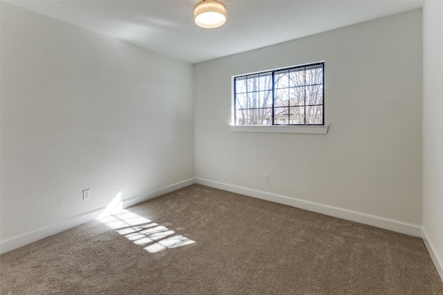 spare room with carpet floors