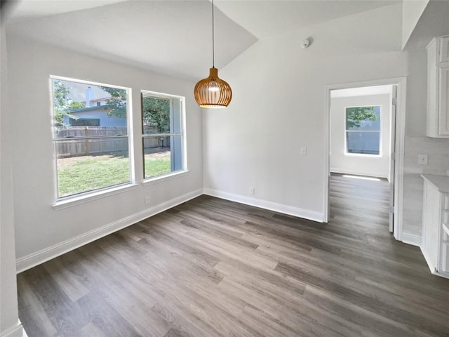 1406 Rio Bravo Loop, Leander, TX 78641 - unfurnished dining area featuring plenty of natural light, lofted ceiling, and dark wood-type flooring