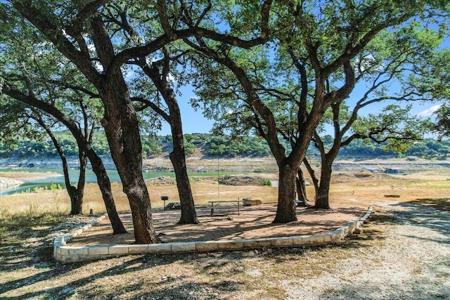 view of yard with a water view