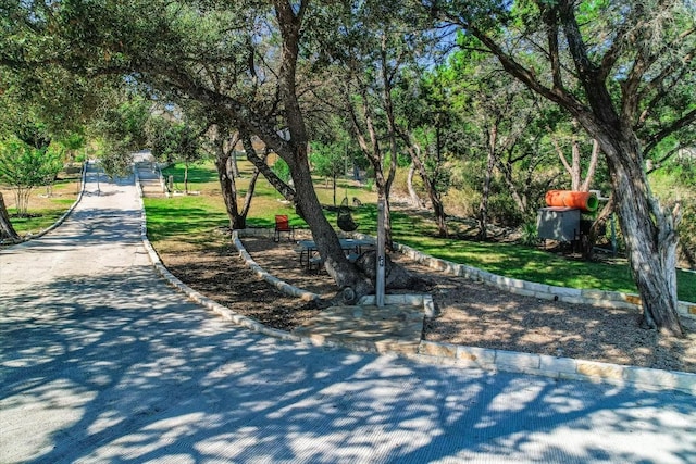 view of community with a lawn