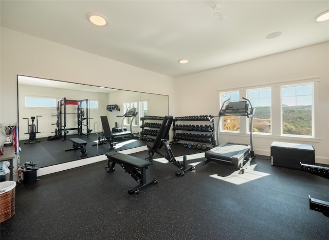 102 Canyon Turn Trl, Austin, TX 78734 - gym with baseboards and recessed lighting