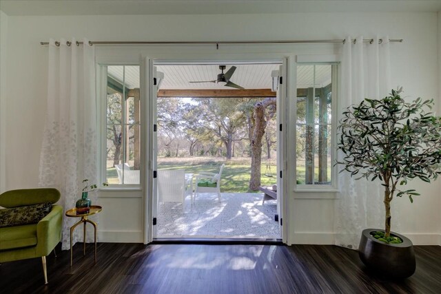 doorway to outside featuring dark hardwood / wood-style flooring and ceiling fan