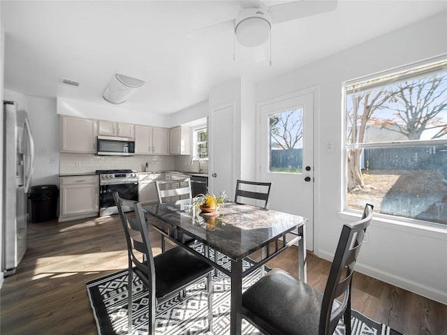 dining space featuring sink and dark wood-type flooring