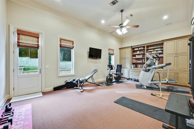 workout room with crown molding, carpet flooring, a wealth of natural light, and ceiling fan