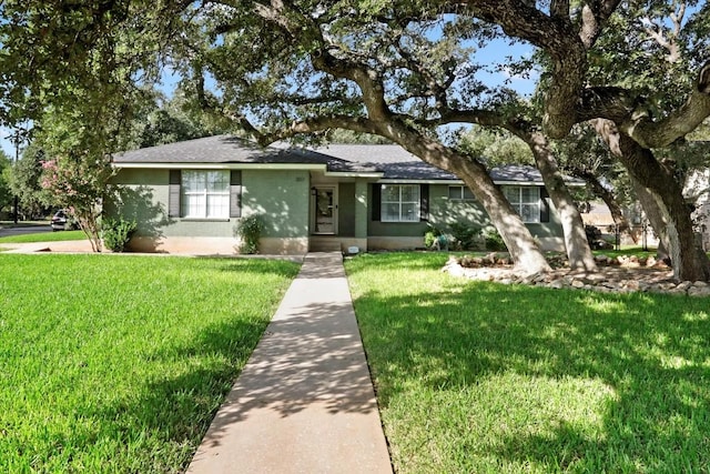 ranch-style house with a front yard