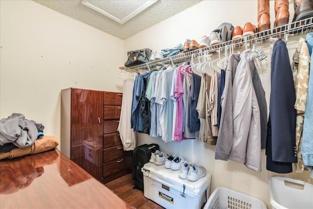 spacious closet featuring dark wood-type flooring and attic access