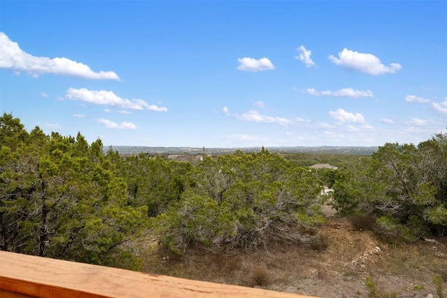 15101 Foy Dr, Austin, TX 78734 - view of woods