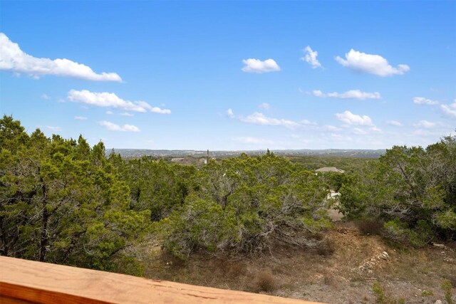 15101 Foy Dr, Austin, TX 78734 - view of wooded area