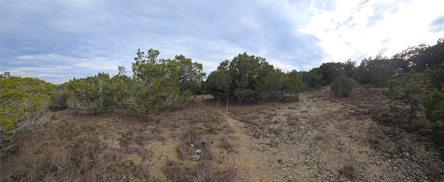 15101 Foy Dr, Austin, TX 78734 - view of nature