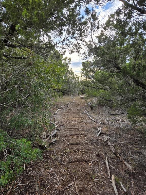 15101 Foy Dr, Austin, TX 78734 - view of local wilderness