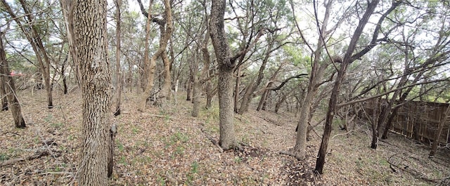 view of local wilderness