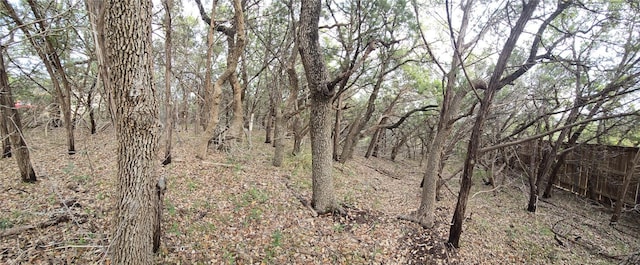 15101 Foy Dr, Austin, TX 78734 - view of local wilderness