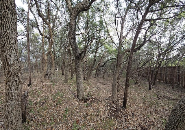 15101 Foy Dr, Austin, TX 78734 - view of nature