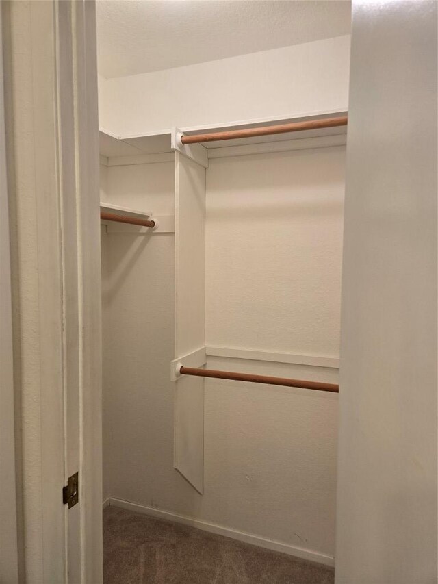 15101 Foy Dr, Austin, TX 78734 - spacious closet featuring carpet