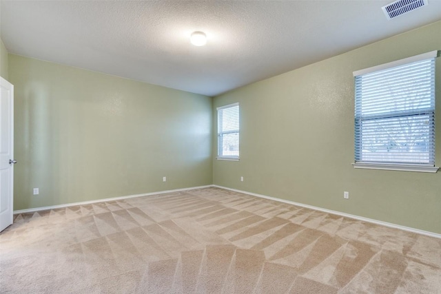 spare room featuring light colored carpet and a textured ceiling