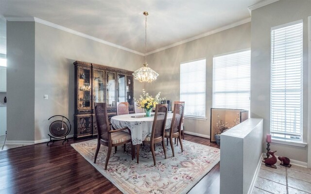 101 Morning Glory Cir, Georgetown, TX 78633 - photo 10