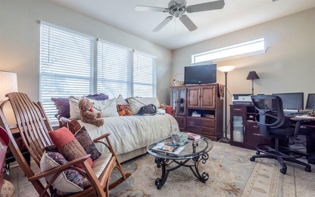 101 Morning Glory Cir, Georgetown, TX 78633 - photo 20