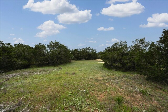 439 Vail River Rd, Dripping Springs, TX 78620 - photo 17