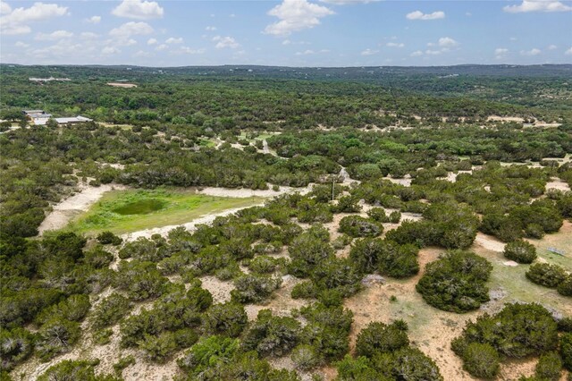 439 Vail River Rd, Dripping Springs, TX 78620 - photo 21