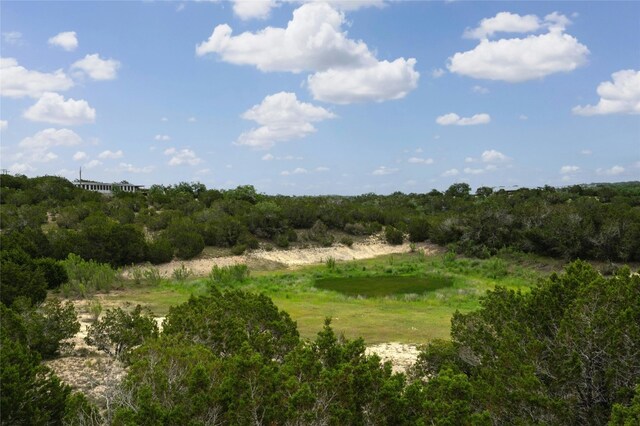 439 Vail River Rd, Dripping Springs, TX 78620 - photo 22