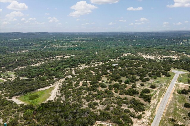 439 Vail River Rd, Dripping Springs, TX 78620 - photo 27