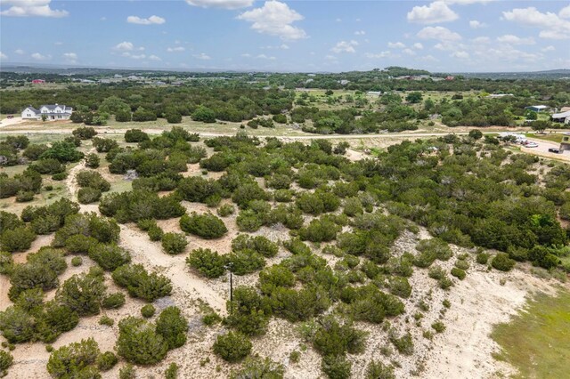 439 Vail River Rd, Dripping Springs, TX 78620 - photo 8
