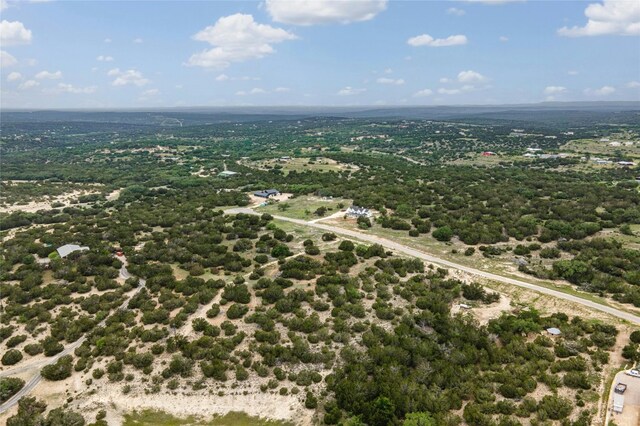 439 Vail River Rd, Dripping Springs, TX 78620 - photo 9