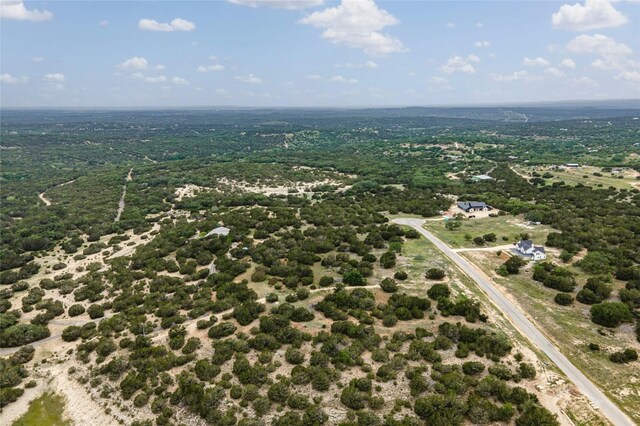 439 Vail River Rd, Dripping Springs, TX 78620 - photo 10