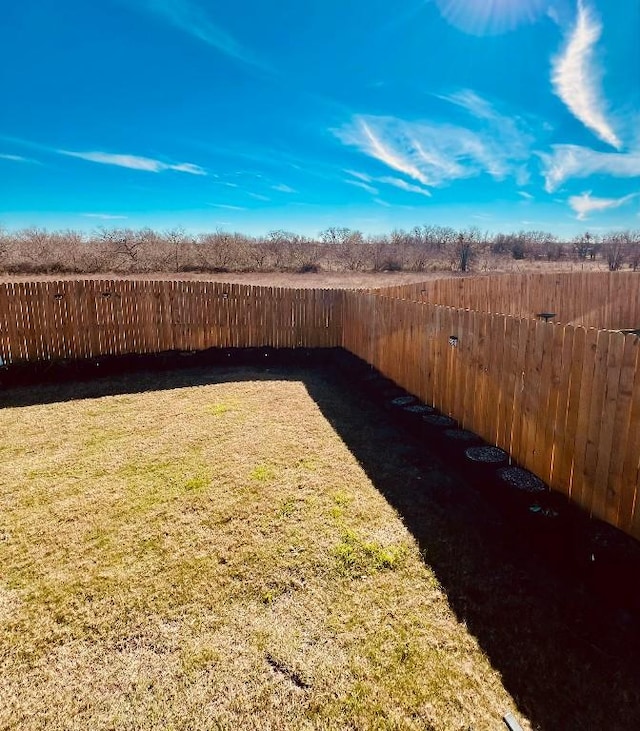 13120 Roving Pass, Elgin, TX 78621 - view of yard