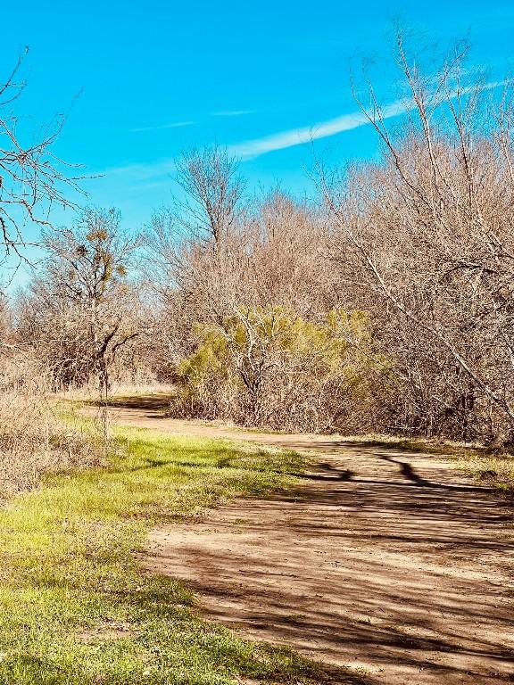 13120 Roving Pass, Elgin, TX 78621 - view of yard